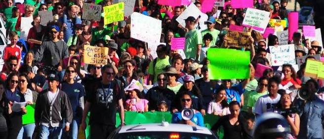 11112717_904128046275068_7725102537898882594_n